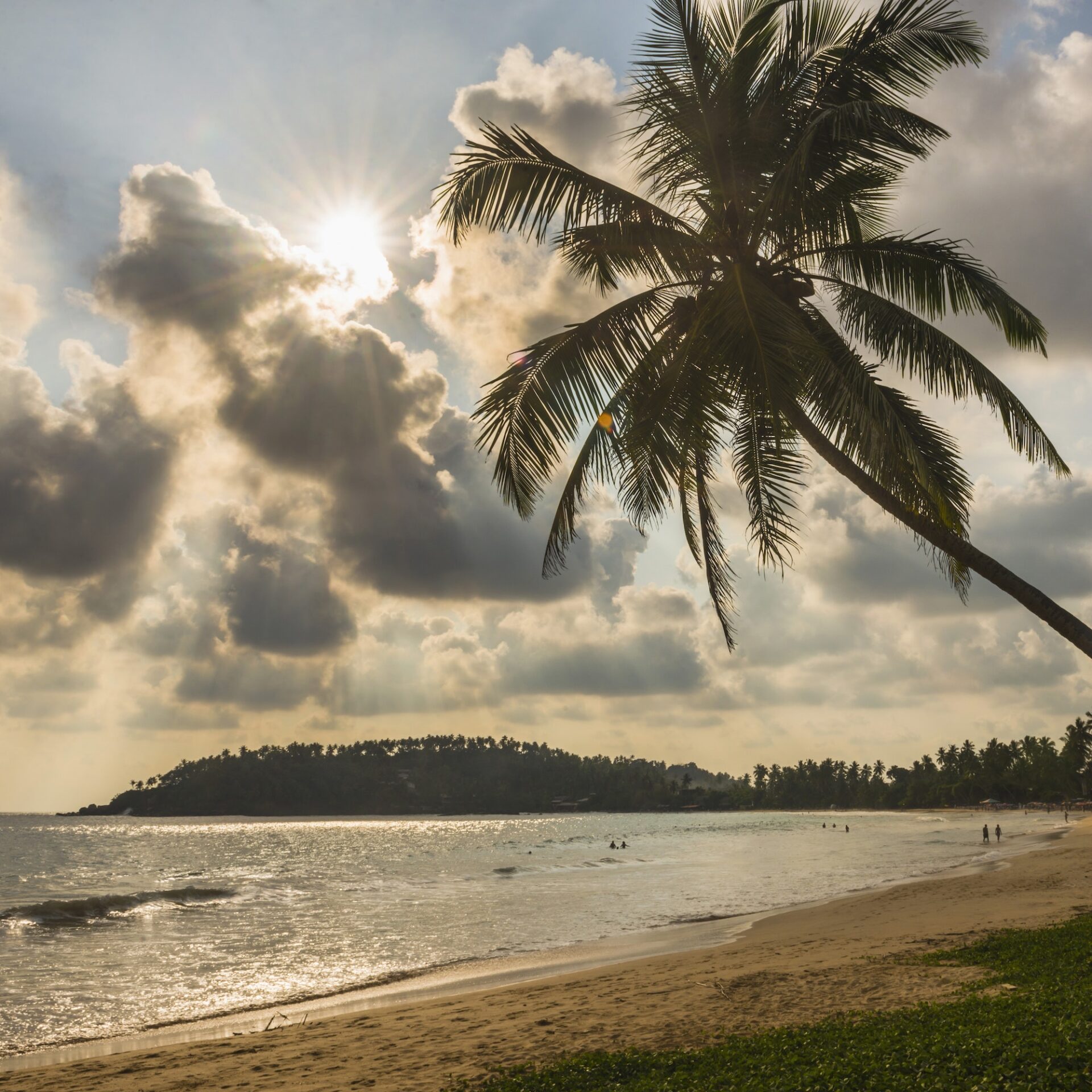 Mirissa Beach at sunset, sunstar behind a palm tree on the South Coast of Sri Lanka, Southern Provin